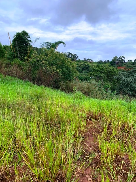 Terreno à venda, 1666m² - Foto 7