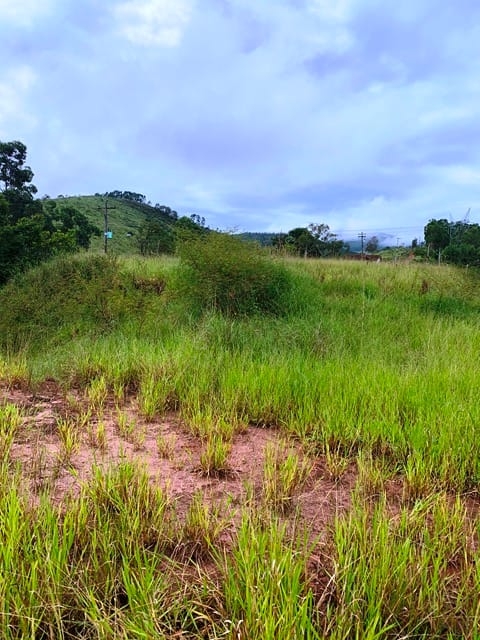 Terreno à venda, 1666m² - Foto 8