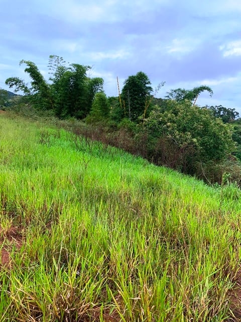 Terreno à venda, 1666m² - Foto 9