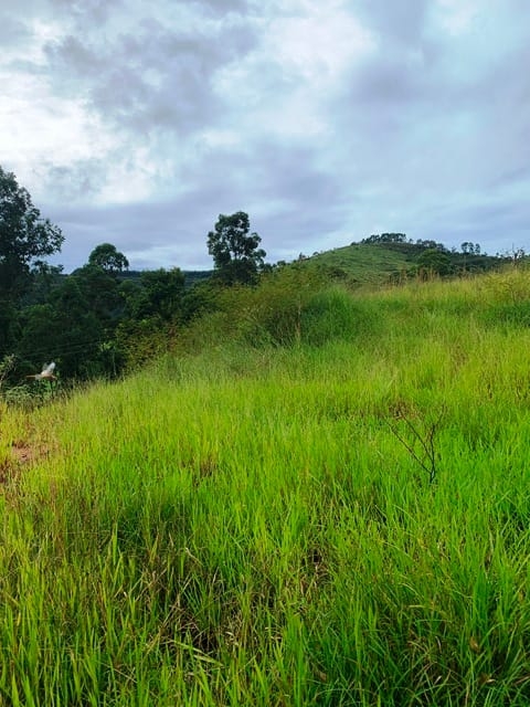 Terreno à venda, 1666m² - Foto 10