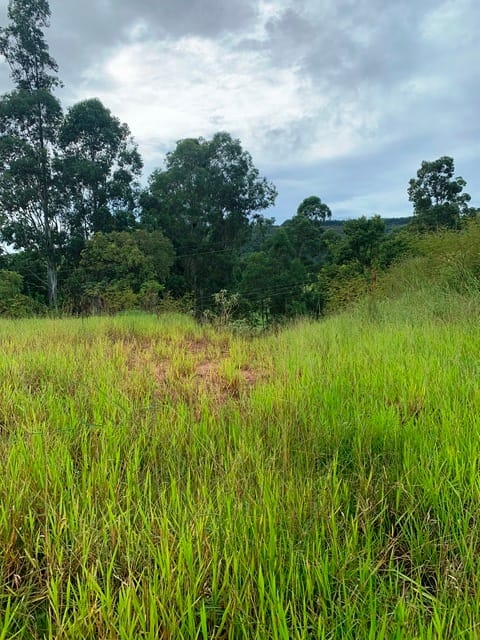 Terreno à venda, 1666m² - Foto 11