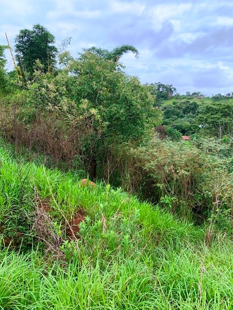 Terreno à venda, 1666m² - Foto 12