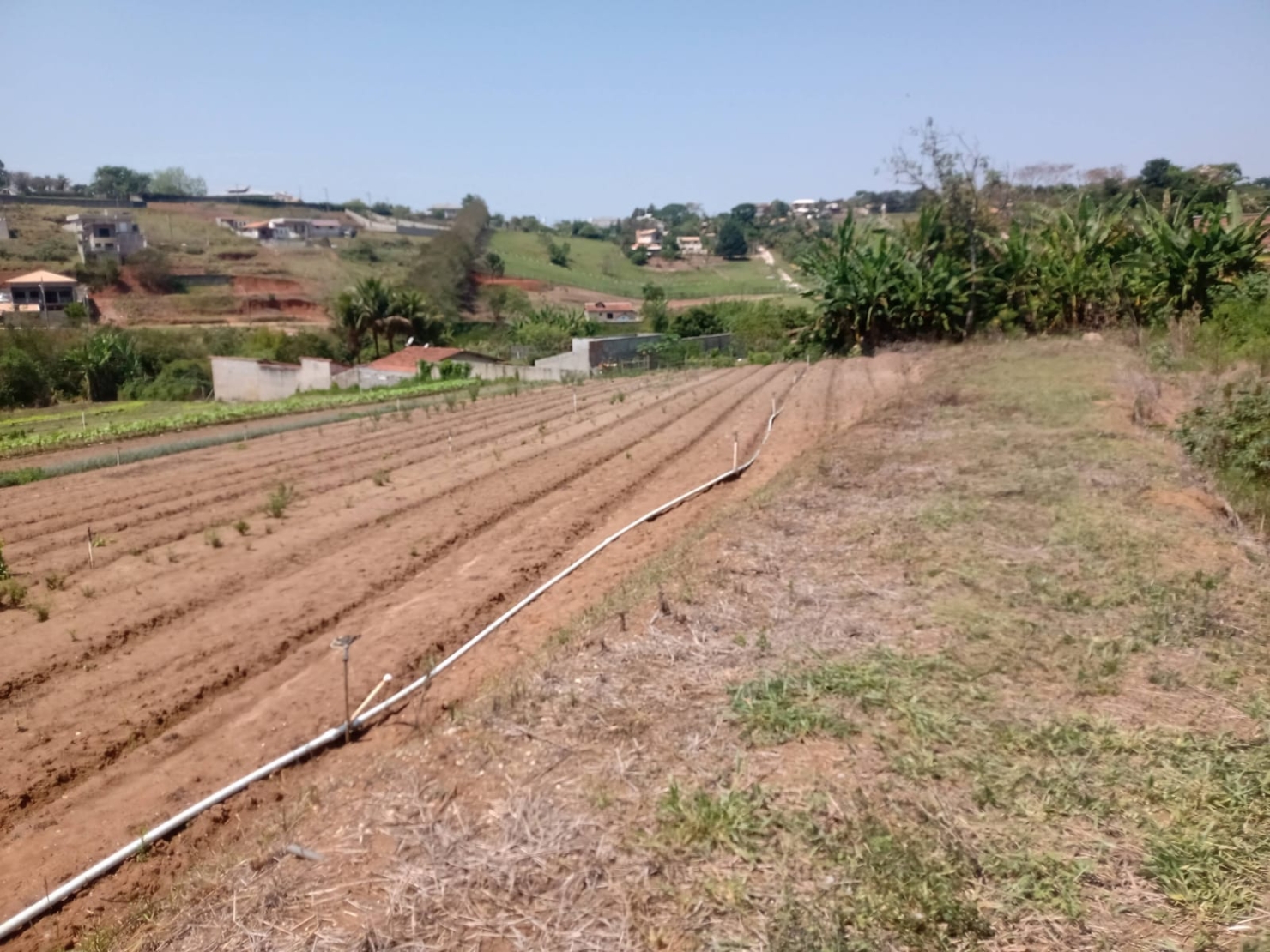 Chácara, 6 quartos, 2 hectares - Foto 5