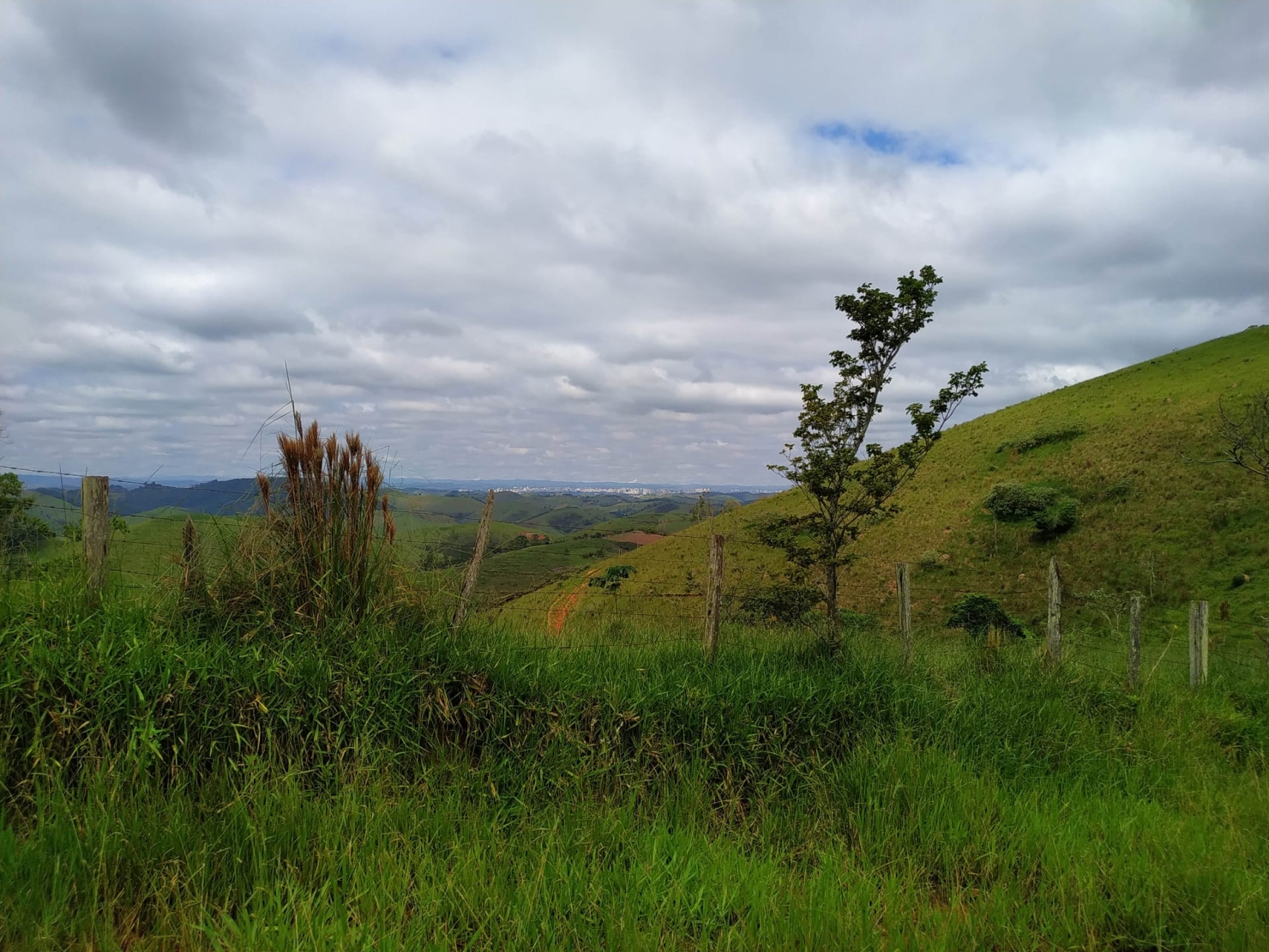 Sítio, 3 quartos, 11 hectares - Foto 38