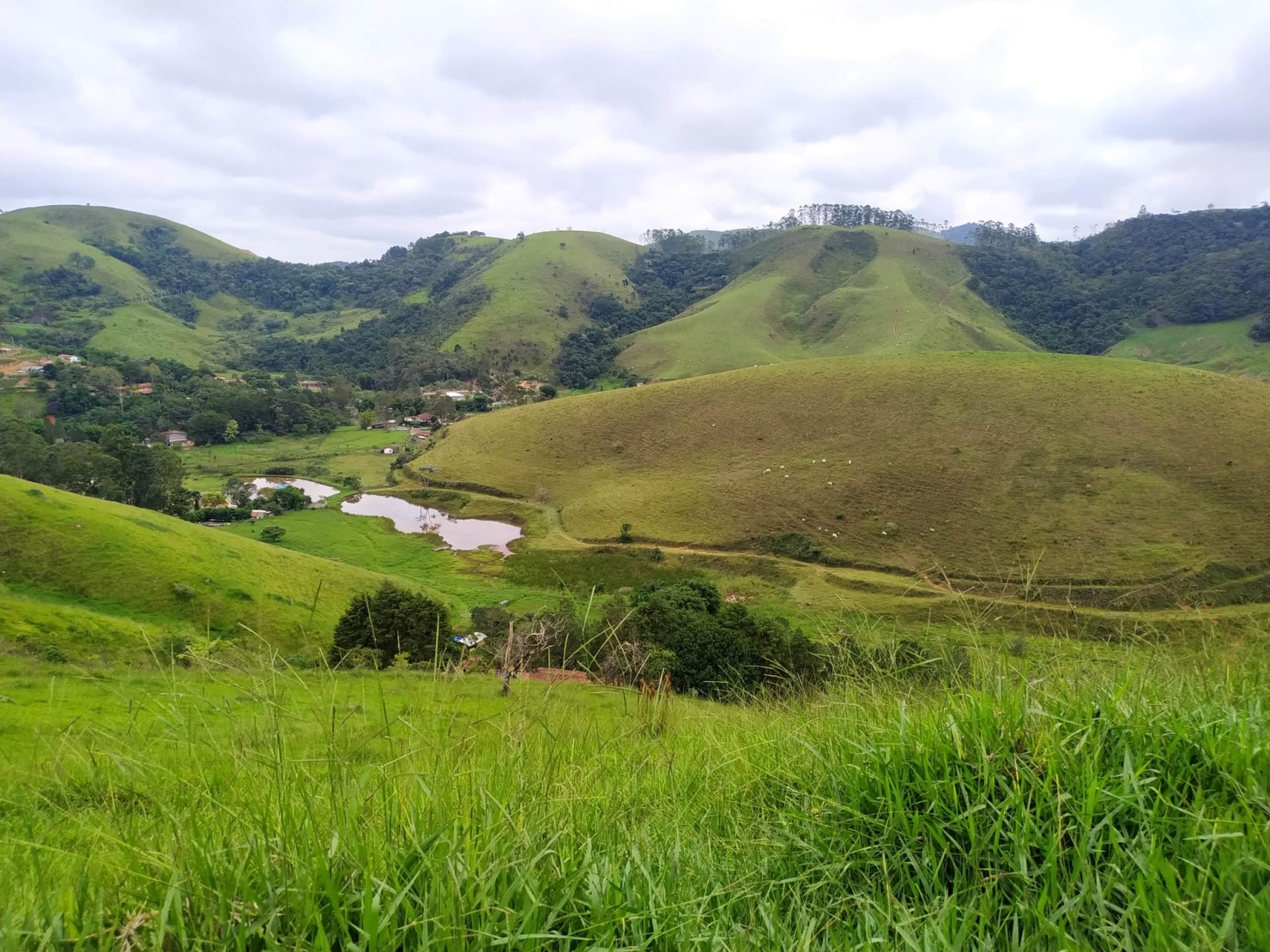 Sítio, 3 quartos, 11 hectares - Foto 39