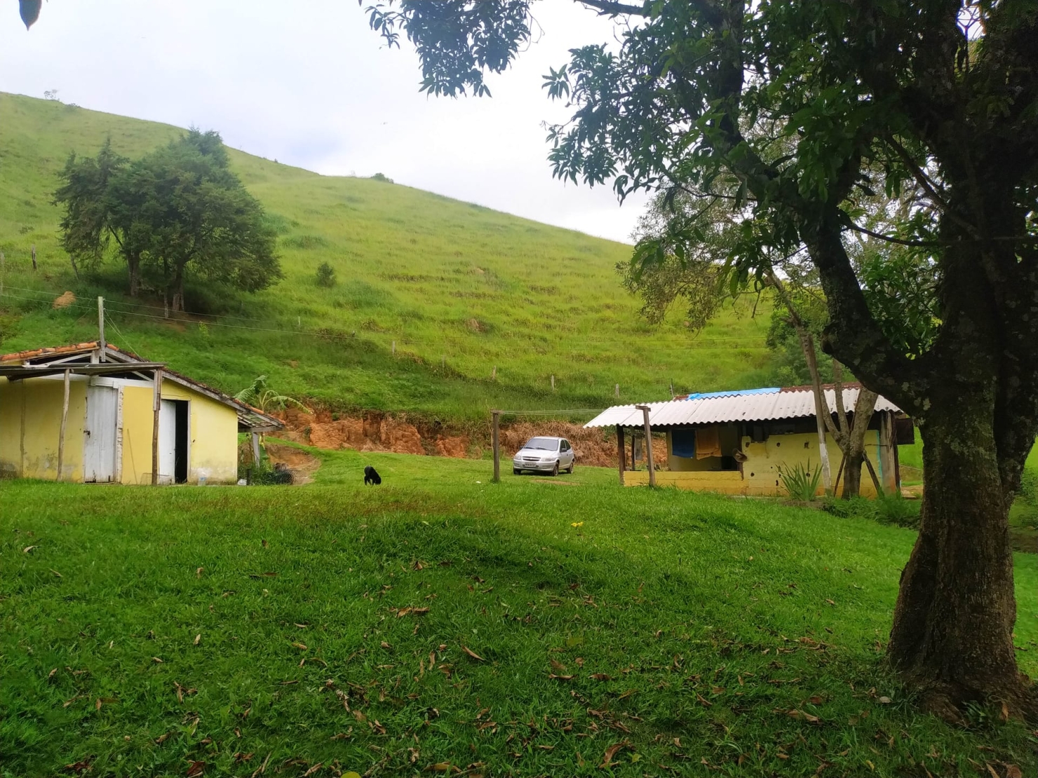 Sítio, 3 quartos, 11 hectares - Foto 40