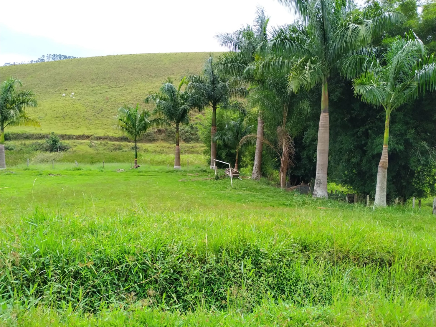 Sítio, 3 quartos, 11 hectares - Foto 41