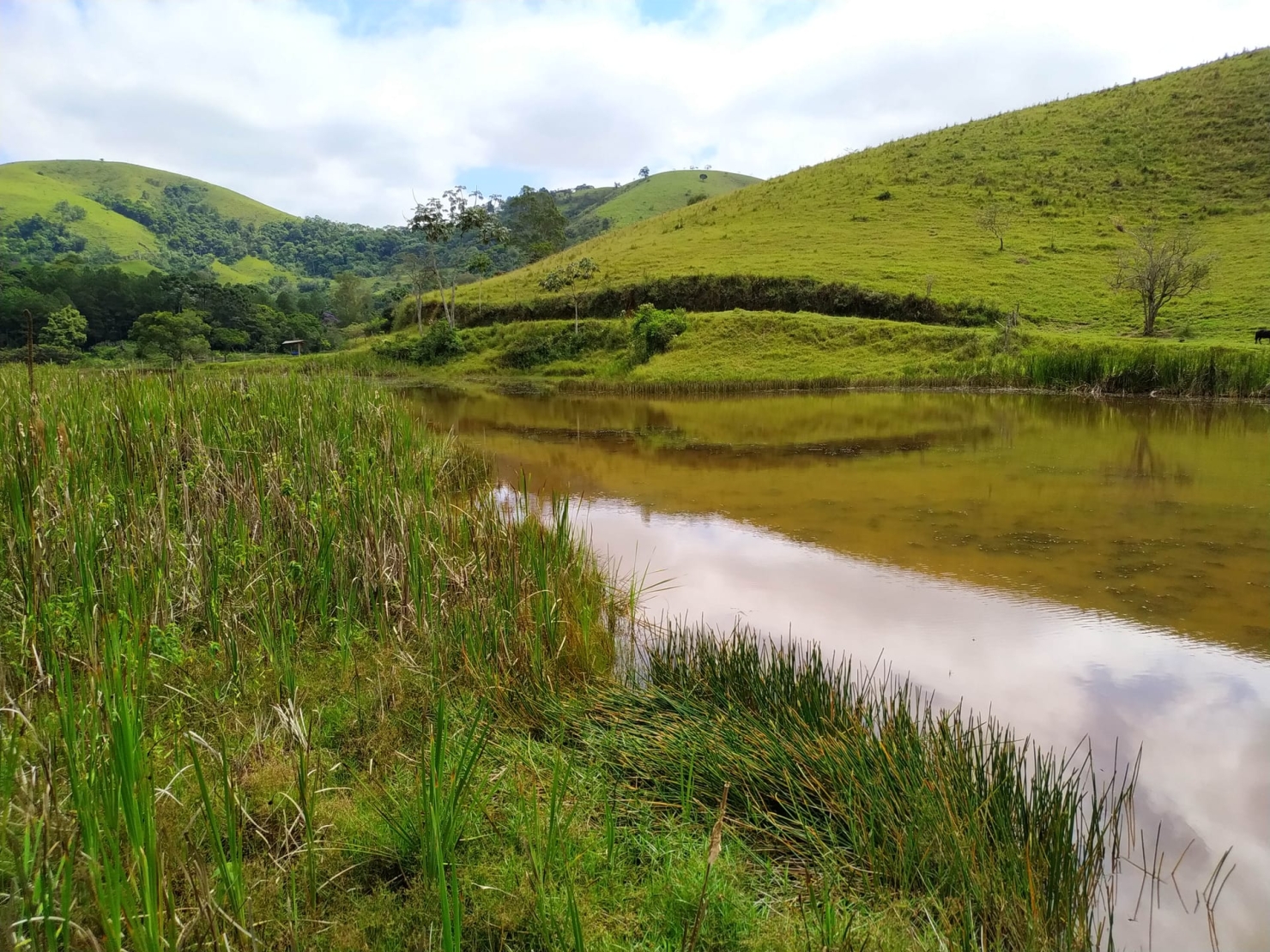 Sítio, 3 quartos, 11 hectares - Foto 43