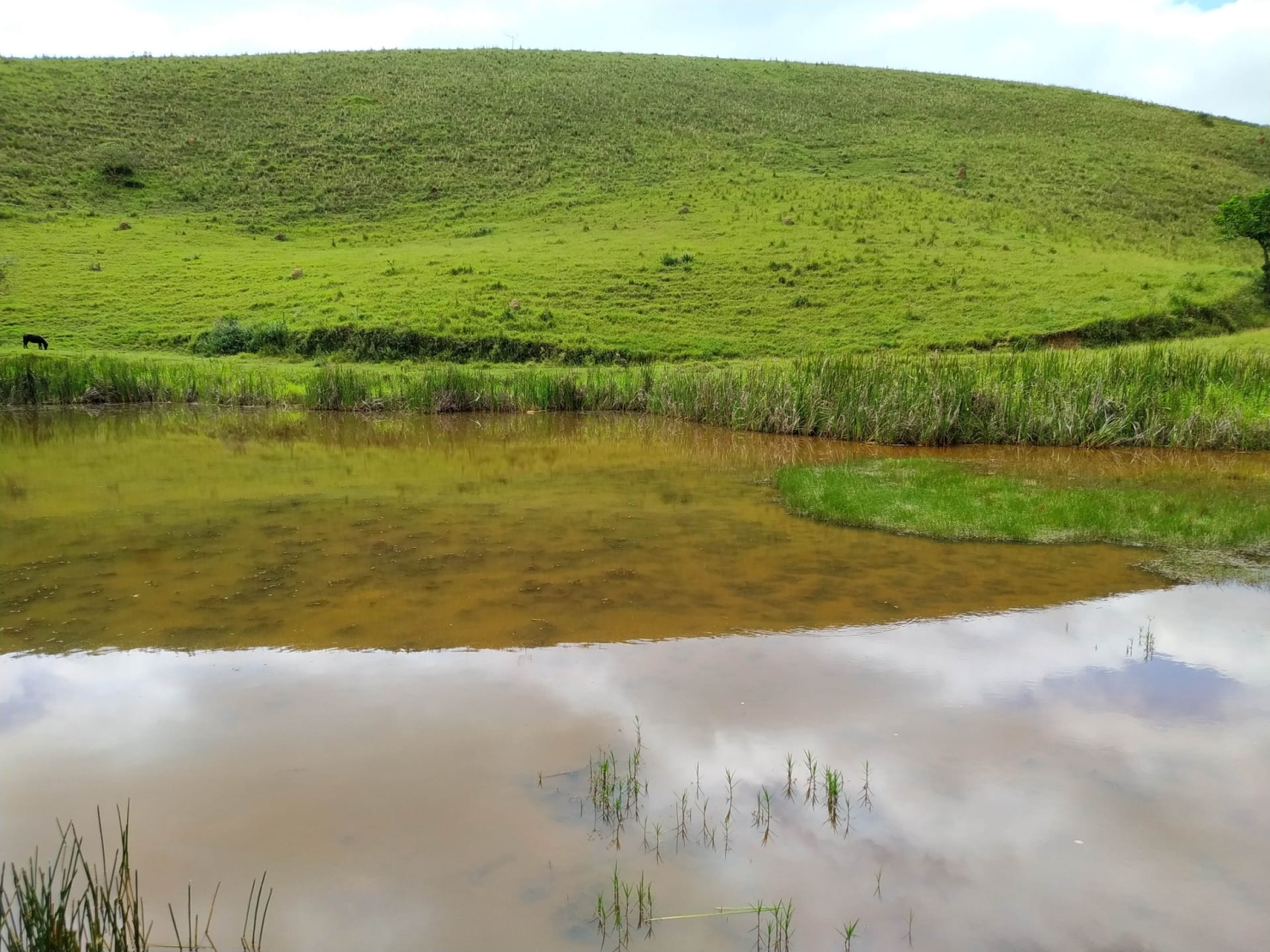 Sítio, 3 quartos, 11 hectares - Foto 44