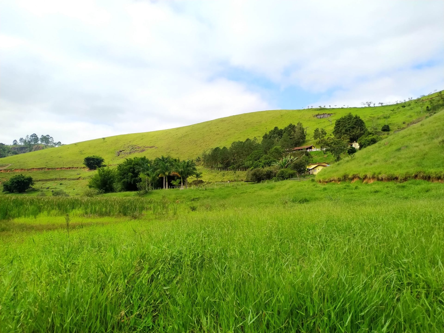 Sítio, 3 quartos, 11 hectares - Foto 45