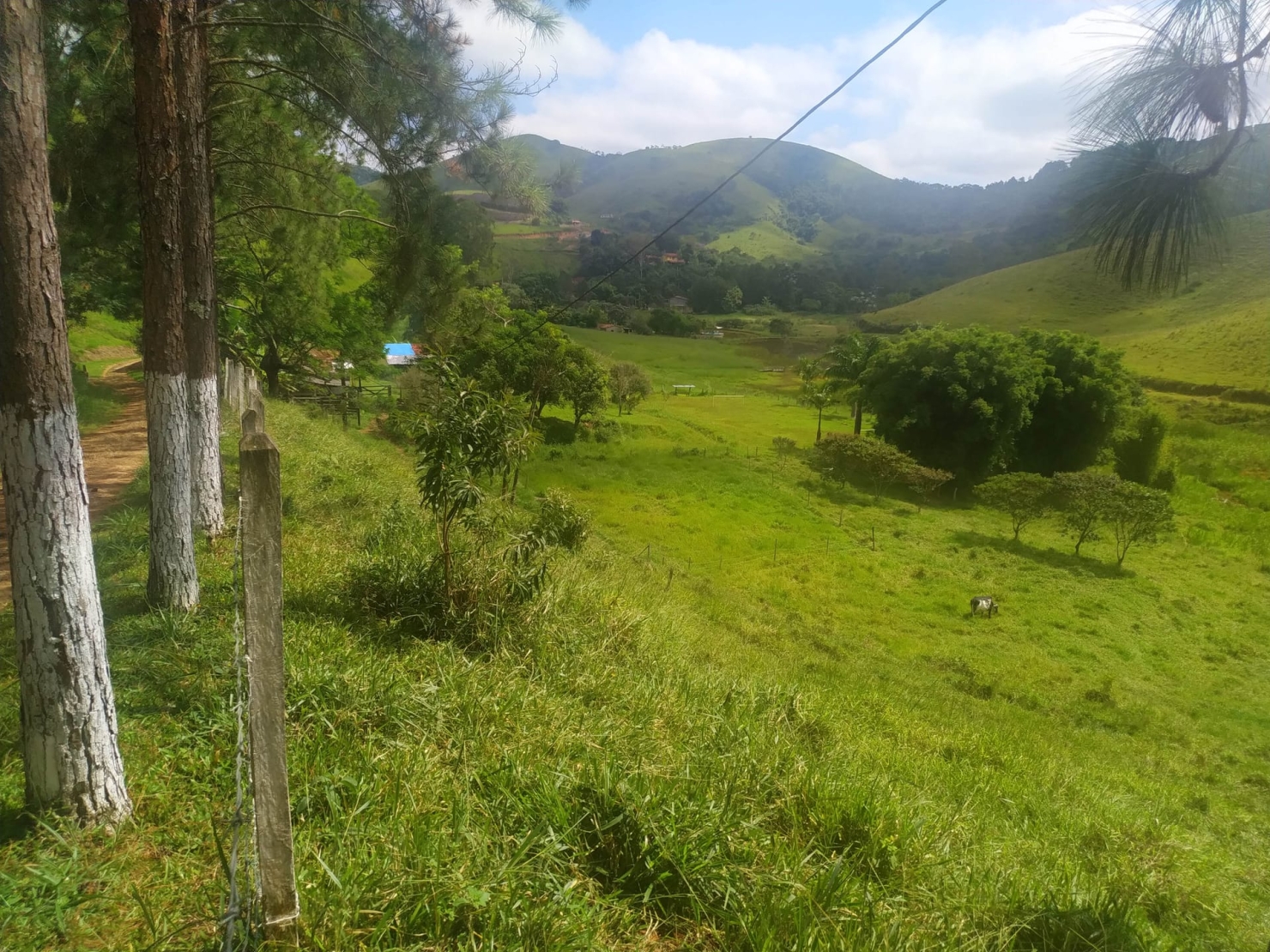 Sítio, 3 quartos, 11 hectares - Foto 48