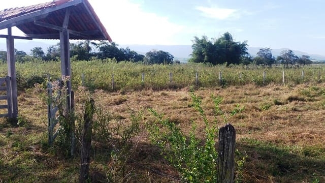 Terreno, 2000 m² - Foto 1