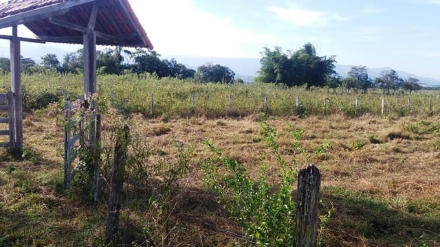 Terreno, 2000 m² - Foto 2