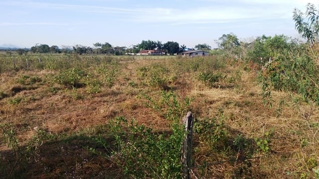 Terreno, 2000 m² - Foto 3