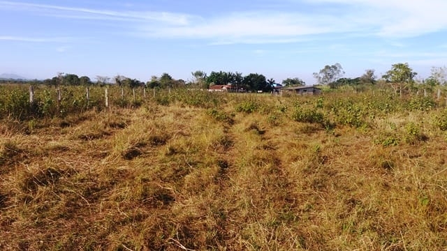 Terreno, 2000 m² - Foto 4