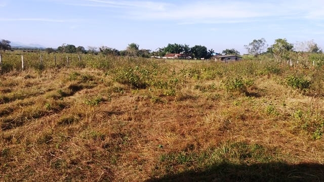 Terreno, 2000 m² - Foto 6