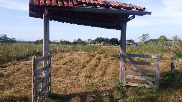 Terreno, 2000 m² - Foto 7