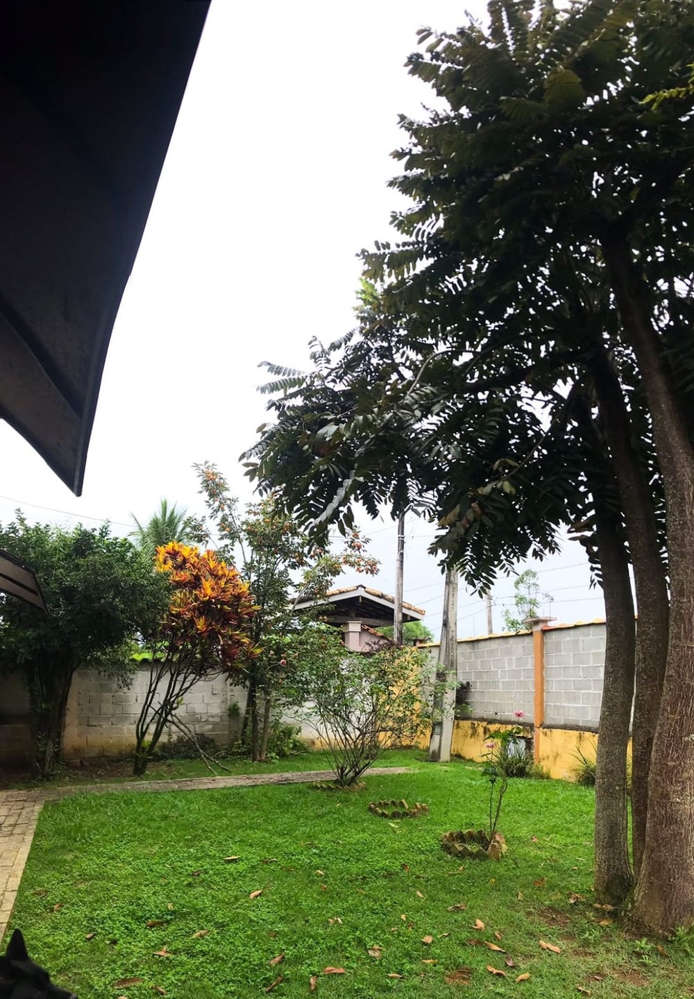 Chácara, 3 quartos, 2000 m² - Foto 26