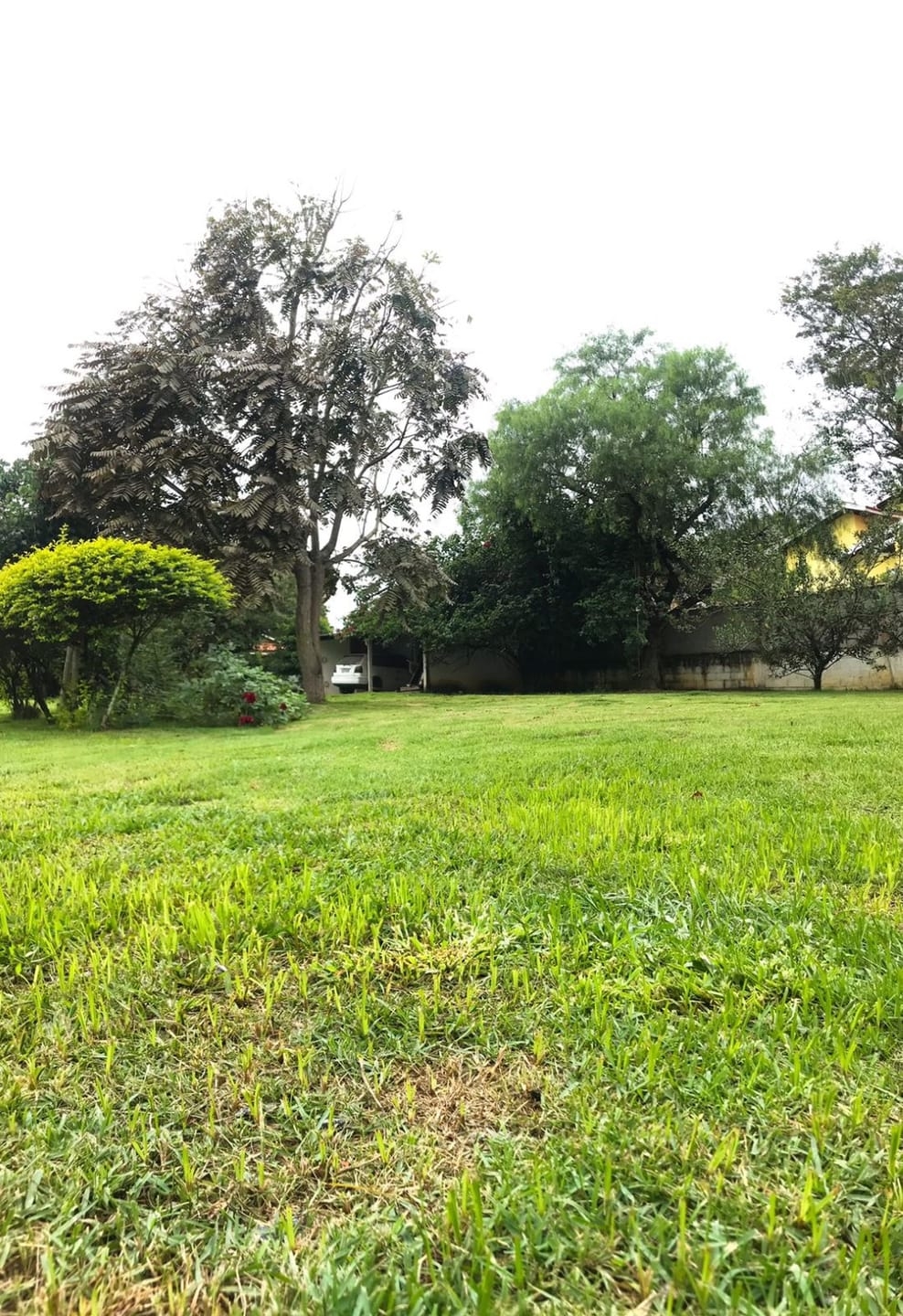 Chácara, 3 quartos, 2000 m² - Foto 27