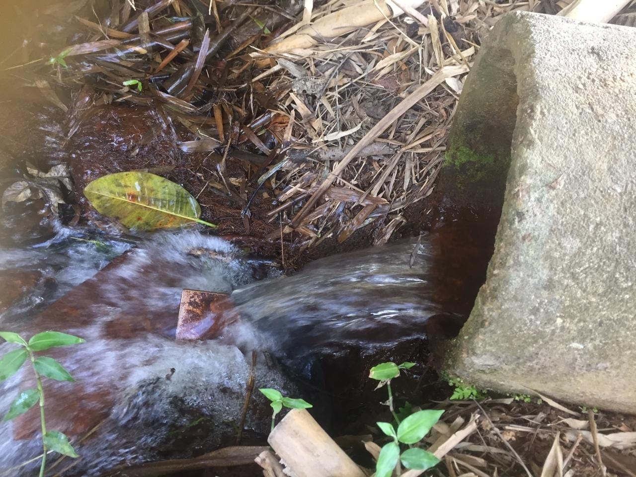 Sítio, 3 quartos, 27 hectares - Foto 6