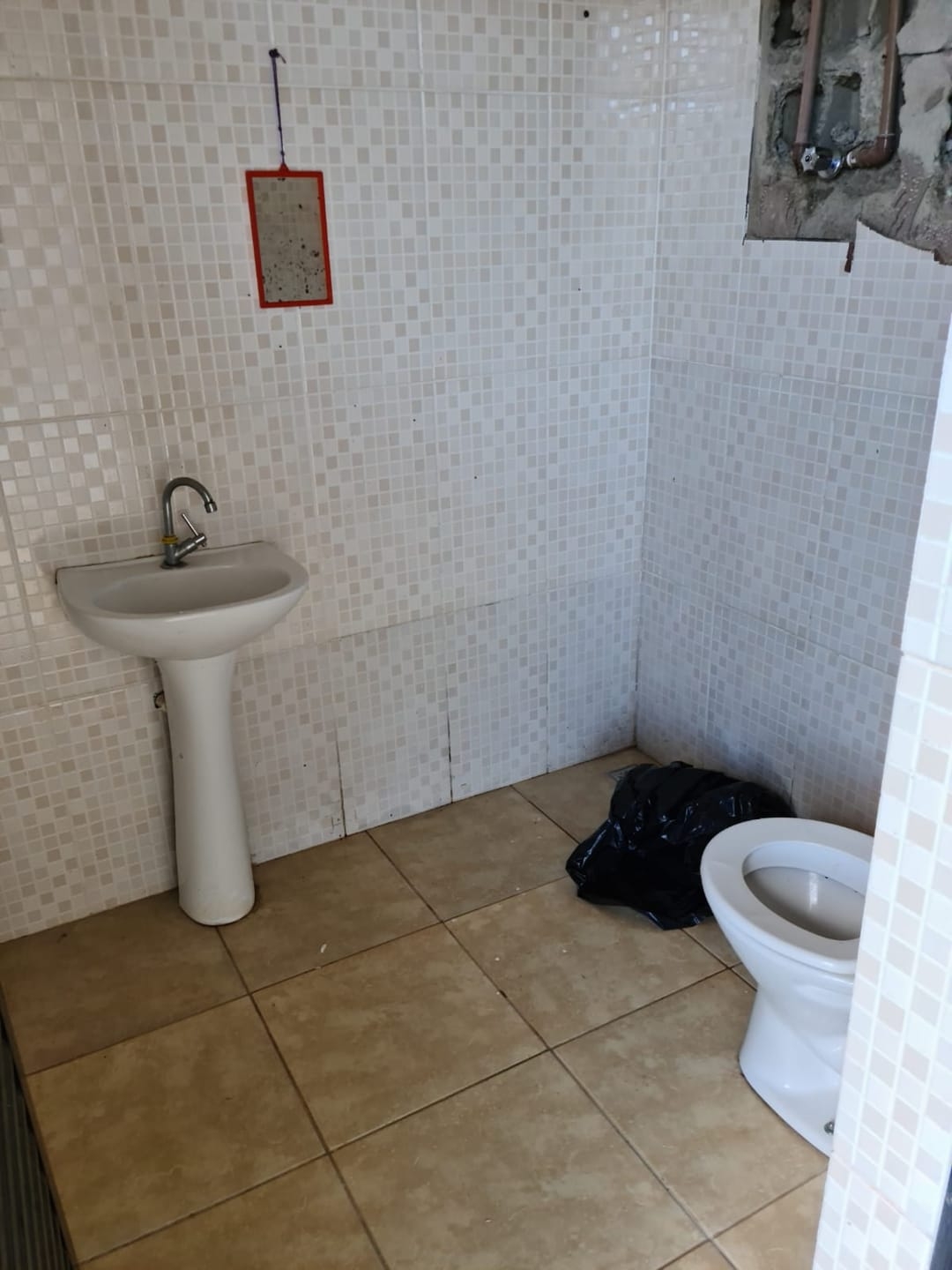 Chácara, 2 quartos, 1200 m² - Foto 1