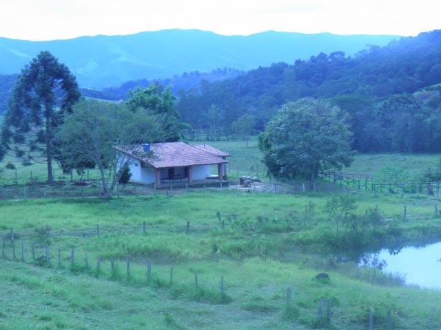 Sítio à venda com 4 quartos, 60000m² - Foto 12