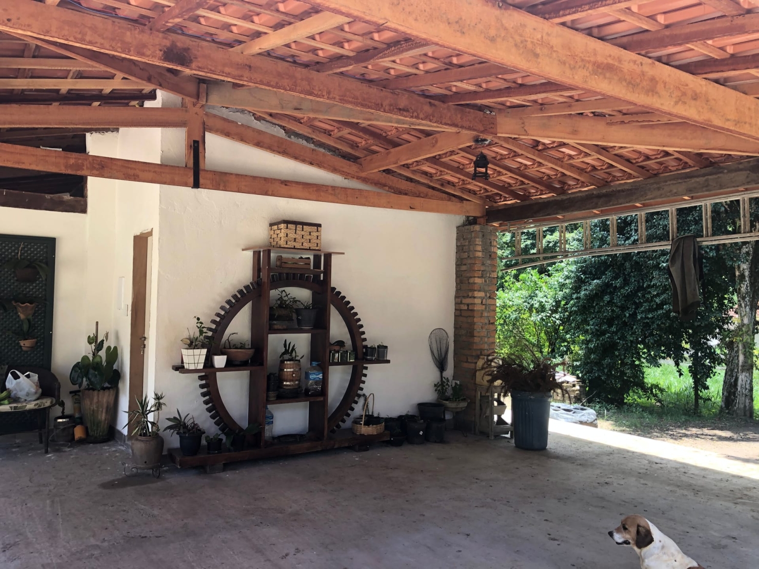 Sítio à venda com 4 quartos, 60000m² - Foto 16