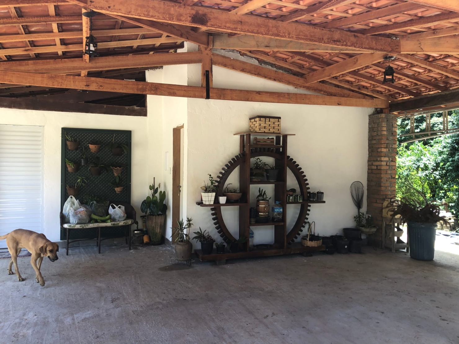 Sítio à venda com 4 quartos, 60000m² - Foto 17