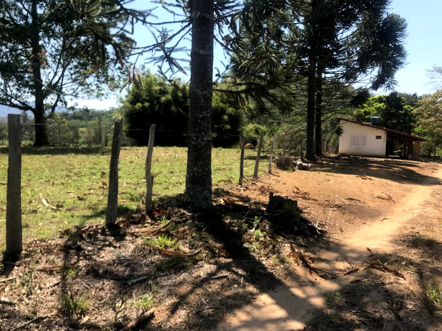 Sítio à venda com 4 quartos, 60000m² - Foto 19