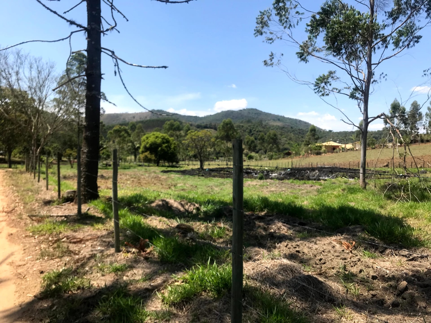 Sítio à venda com 4 quartos, 60000m² - Foto 20