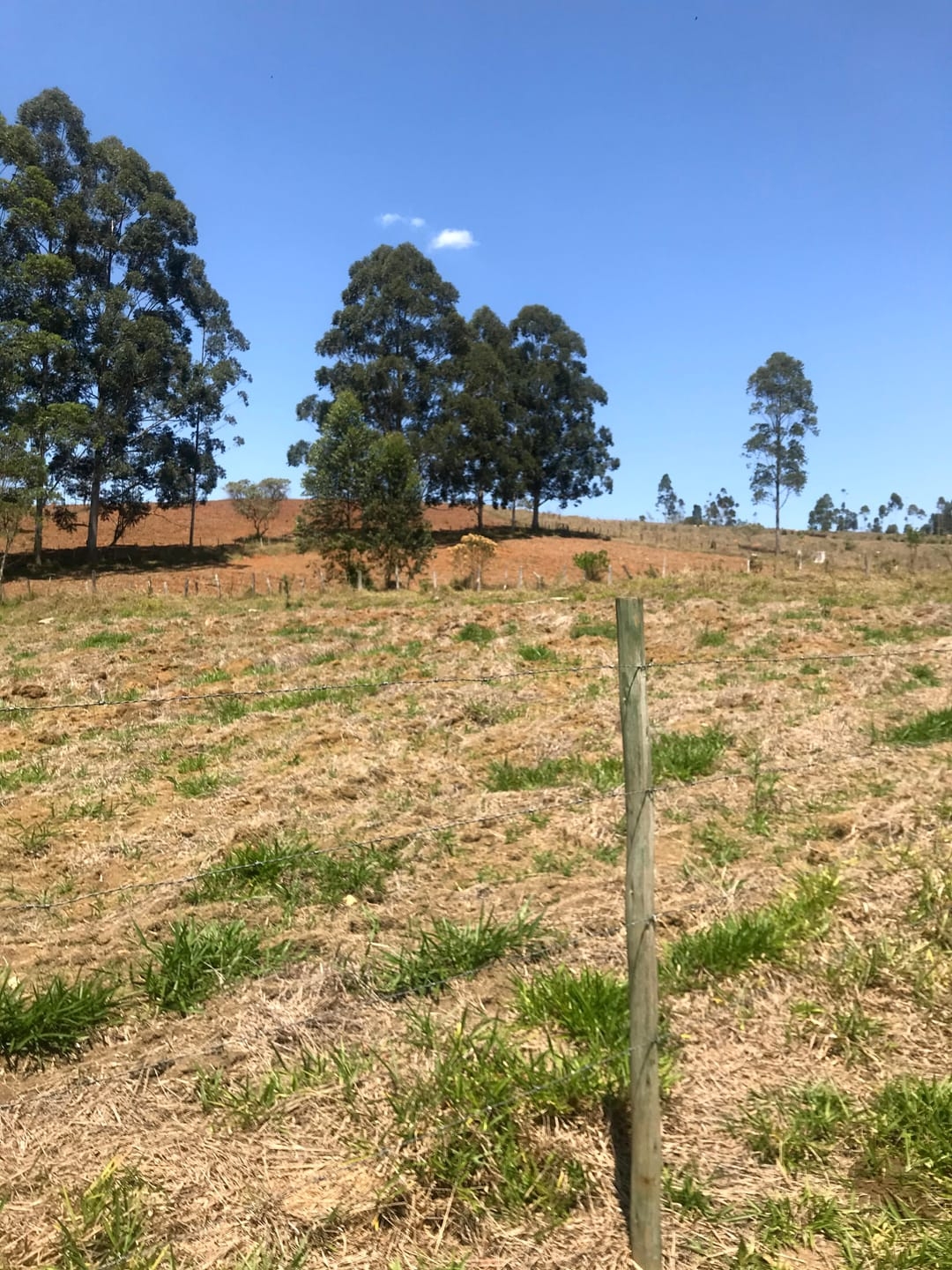 Sítio à venda com 4 quartos, 60000m² - Foto 21
