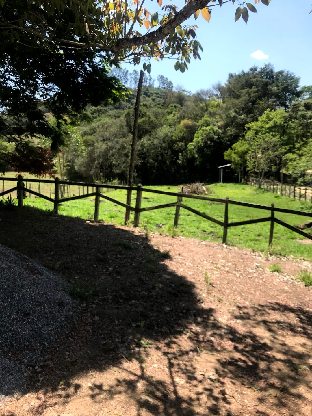 Sítio à venda com 4 quartos, 60000m² - Foto 23