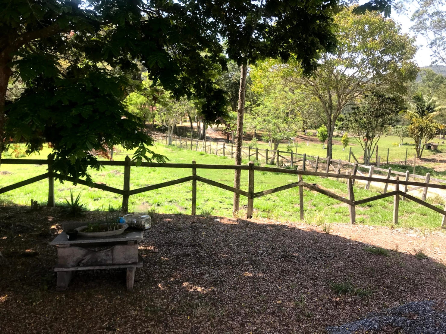 Sítio à venda com 4 quartos, 60000m² - Foto 26