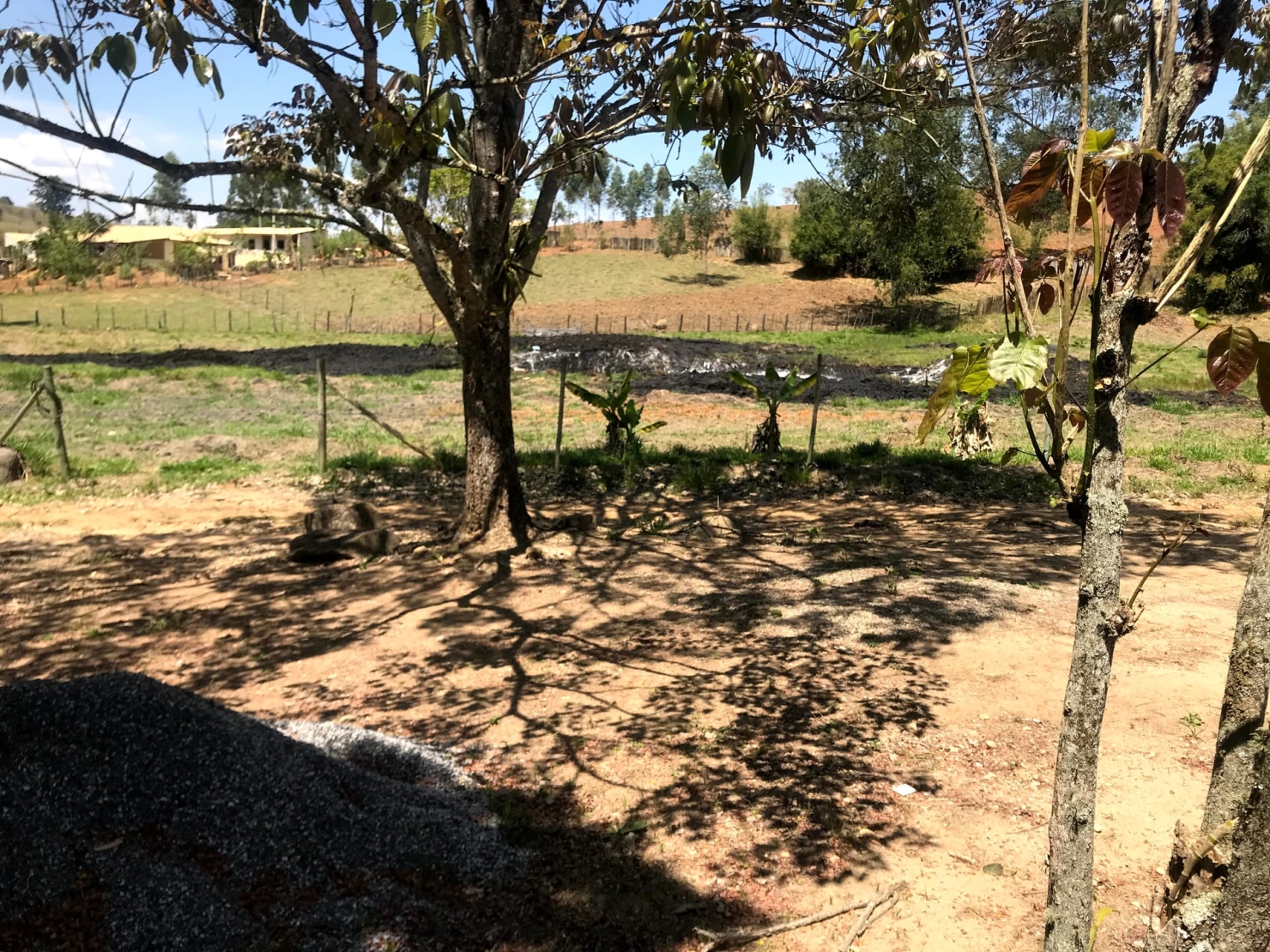 Sítio à venda com 4 quartos, 60000m² - Foto 27