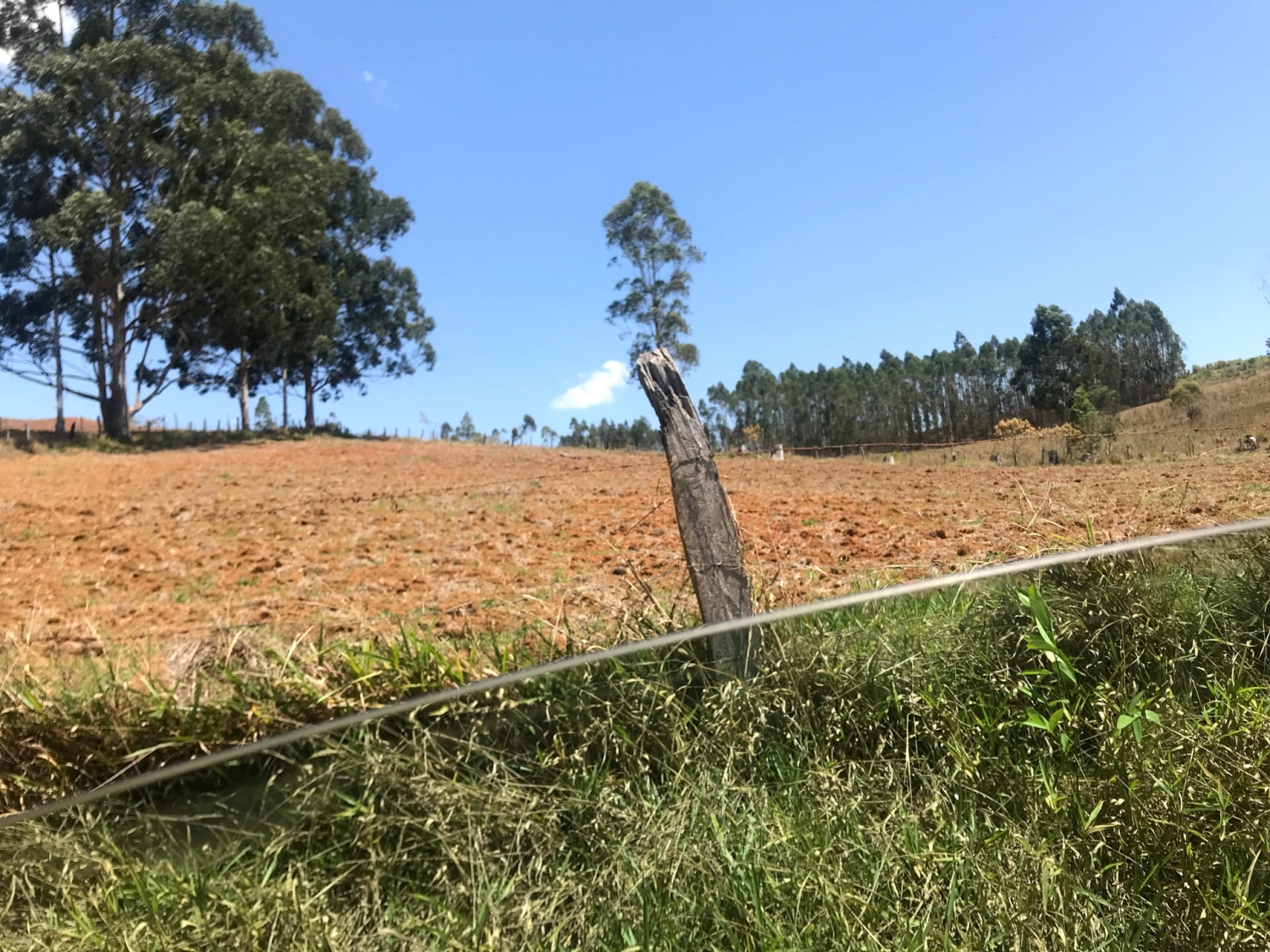 Sítio à venda com 4 quartos, 60000m² - Foto 48