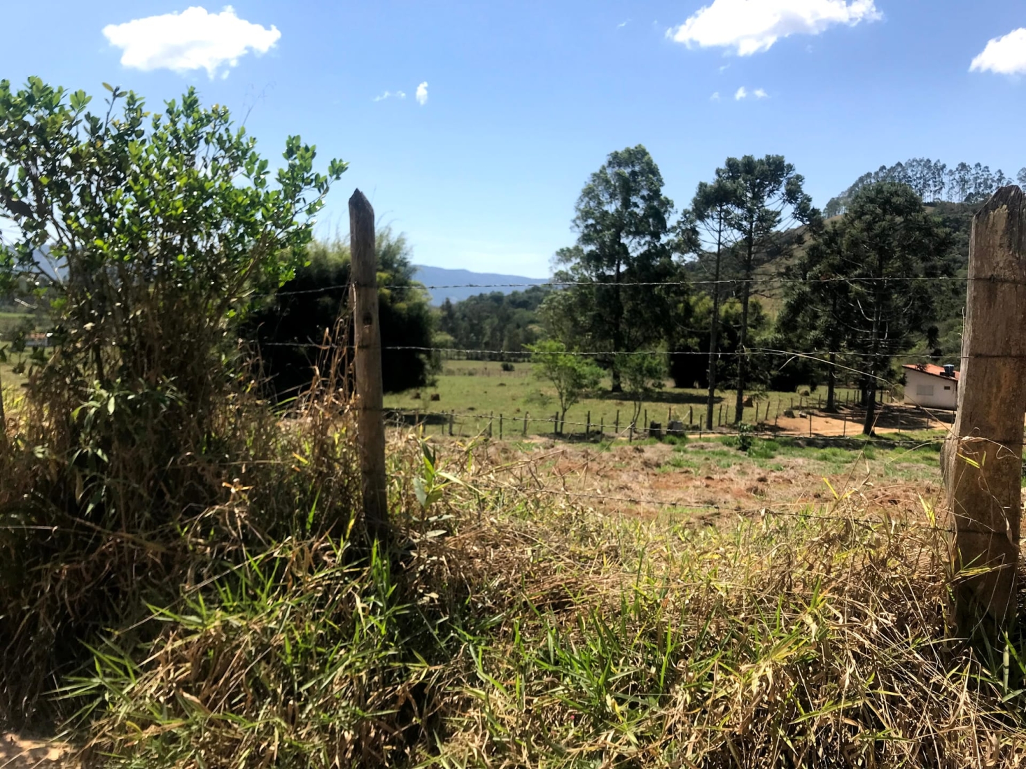 Sítio à venda com 4 quartos, 60000m² - Foto 49