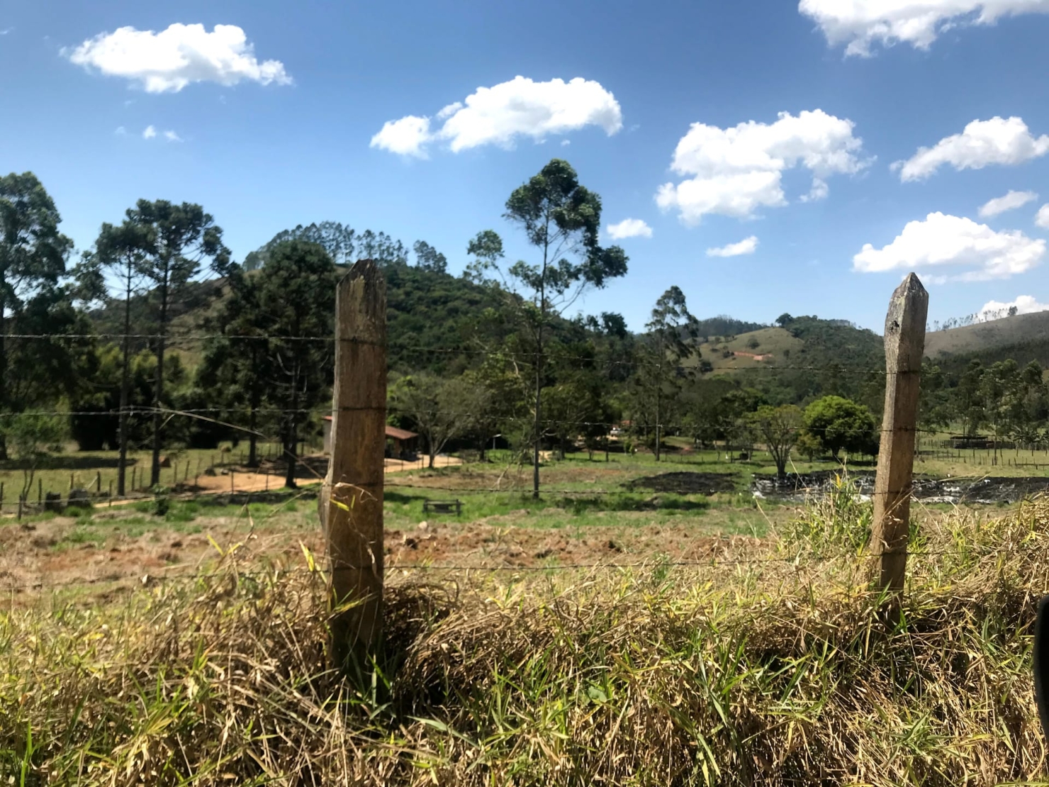 Sítio à venda com 4 quartos, 60000m² - Foto 51