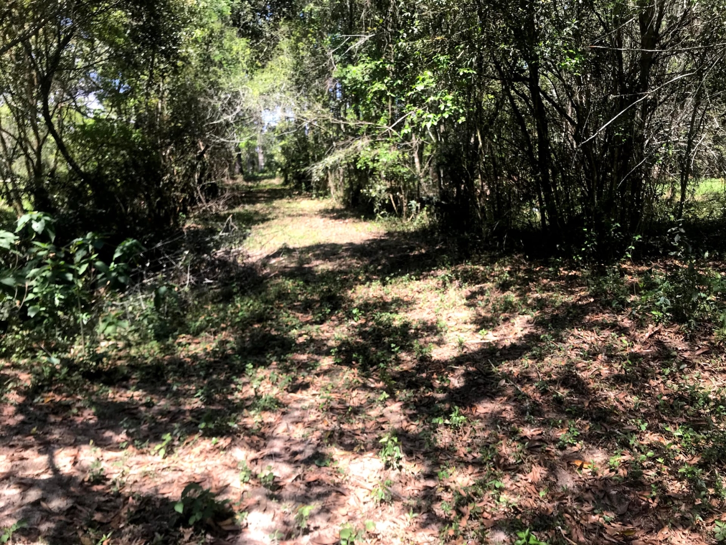 Sítio à venda com 4 quartos, 60000m² - Foto 54