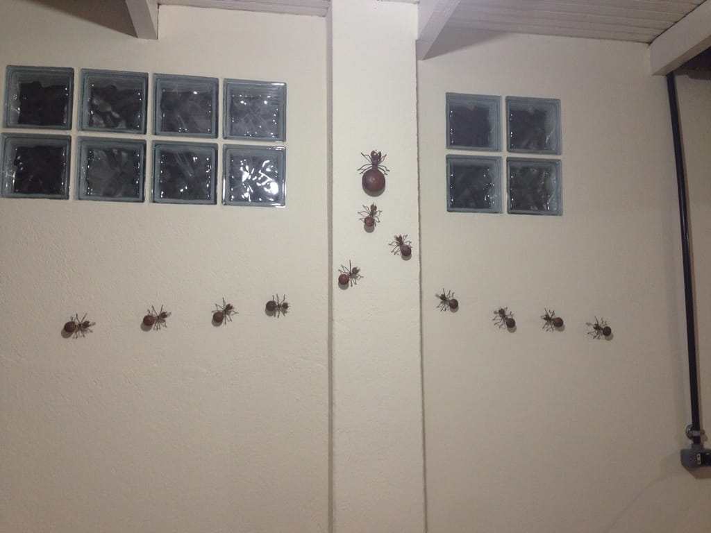 Terreno, 73 hectares - Foto 12