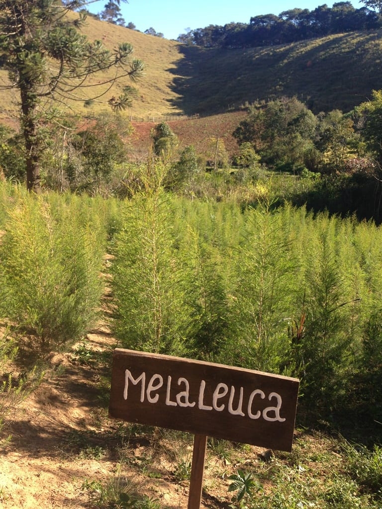 Terreno, 73 hectares - Foto 30