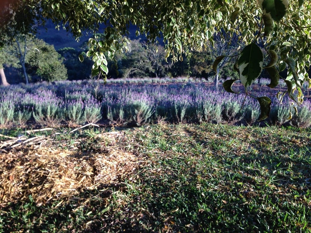 Terreno, 73 hectares - Foto 31