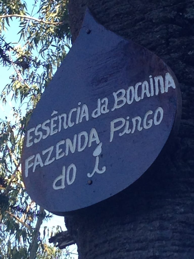 Terreno, 73 hectares - Foto 32