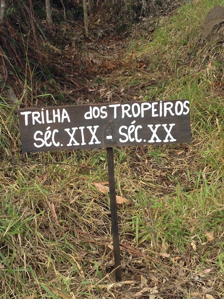 Terreno, 73 hectares - Foto 36