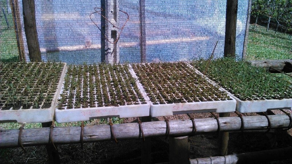 Terreno, 73 hectares - Foto 37