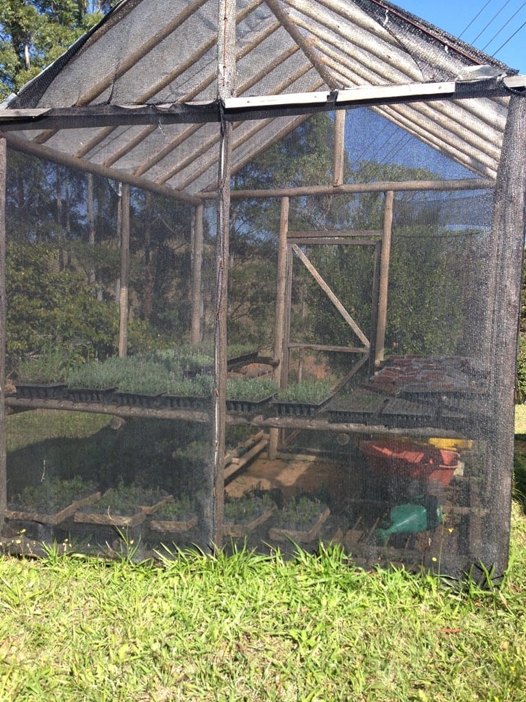 Terreno, 73 hectares - Foto 38