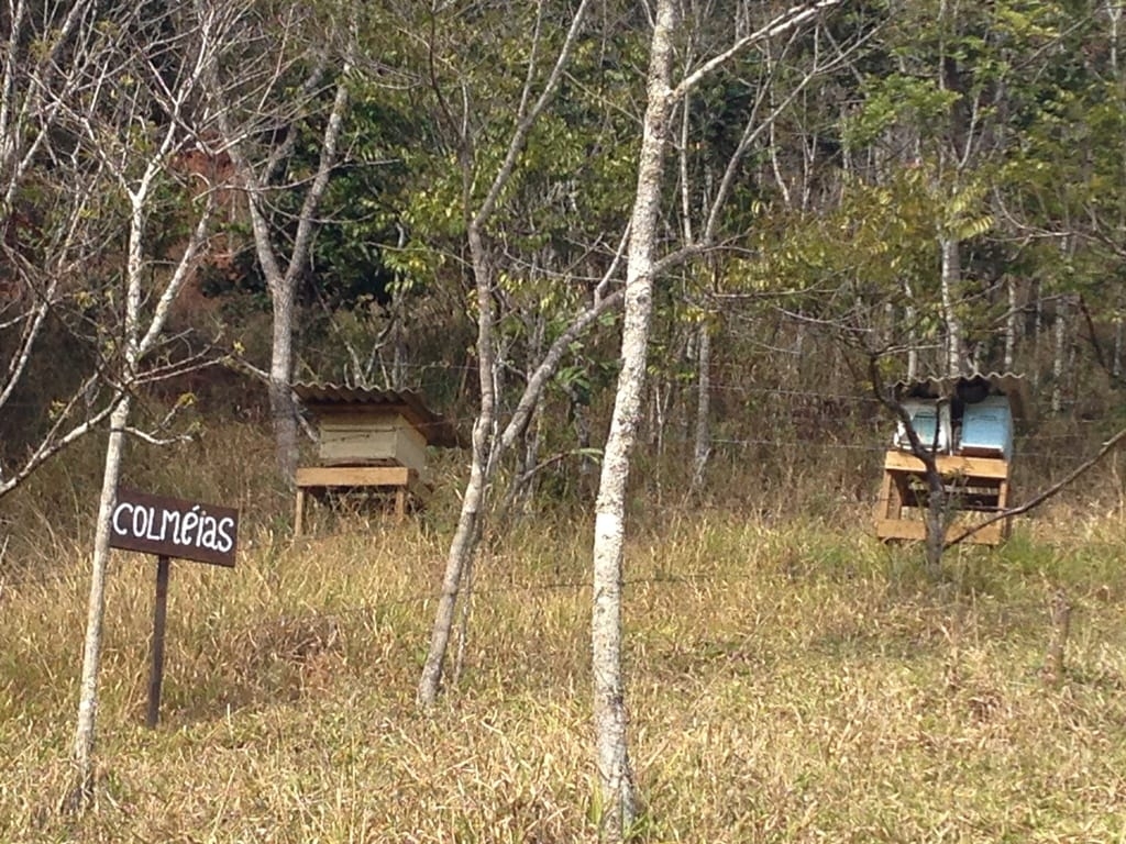 Terreno, 73 hectares - Foto 41