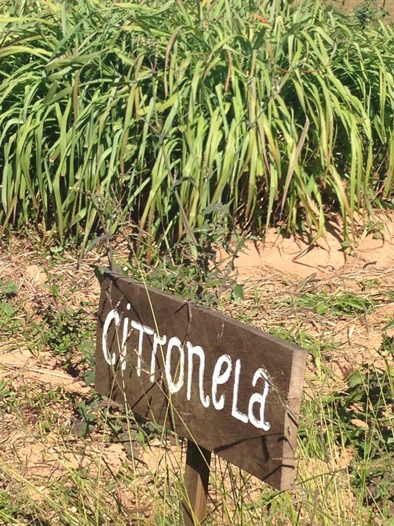 Terreno, 73 hectares - Foto 46