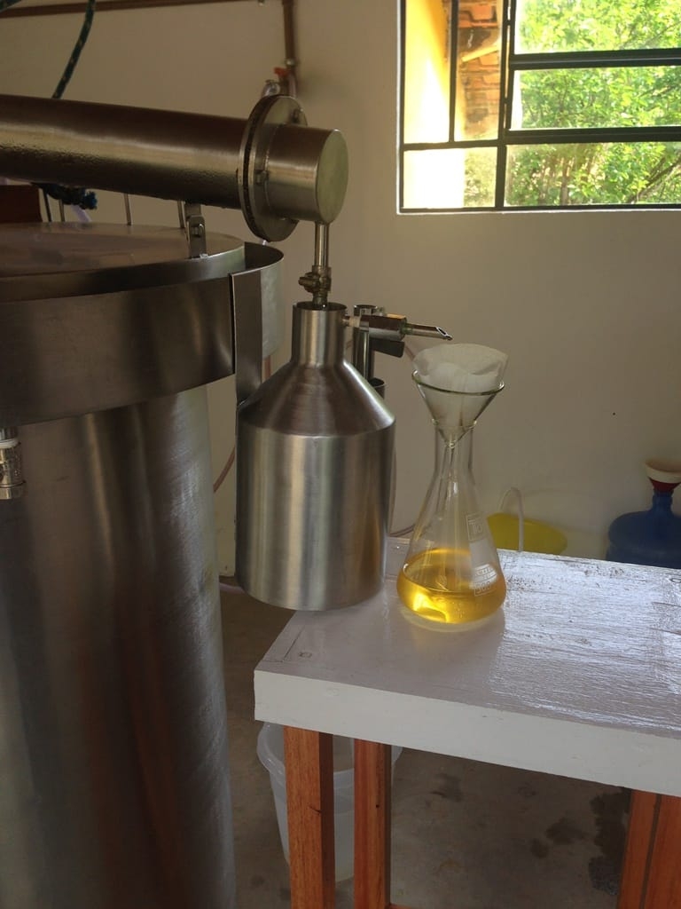 Terreno, 73 hectares - Foto 51