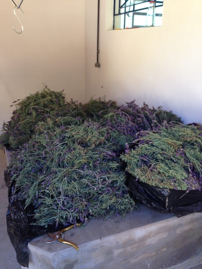 Terreno, 73 hectares - Foto 56