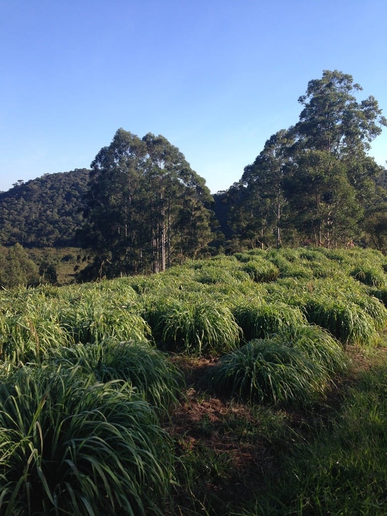 Terreno, 73 hectares - Foto 63